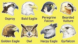 Thumbnail: 8 Birds of Prey You Should Never Underestimate! 🦅 World's Most Powerful Raptors
