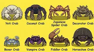 Thumbnail: 8 Most Bizarre Crabs You Won't Believe Actually Exist! 🦀 Strange Crabs Caught on Camera