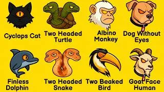 Thumbnail: Top 8 Strangest Animals You Won't Believe Exist! 😱🐍