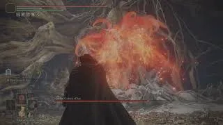 Thumbnail: ELDEN RING Malenia vs Batman build NG+