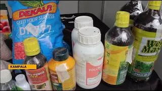 Thumbnail: Proper Pesticide Use: Ministry and CABI Promote Crop