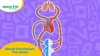 Thumbnail: Blood Circulation: The Heart | Ubongo Kids #singalong