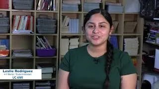 Thumbnail: Introduction to coding with a microcontroller using BBC micro:bit