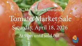 Thumbnail: UC Marin Master Gardeners' Tomato Market Sale 2026