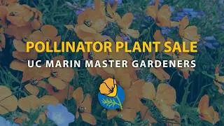 Thumbnail: Pollinator Plant Sale 2026