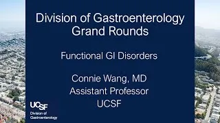 Thumbnail: Functional GI Disorders - Connie Wang, MD