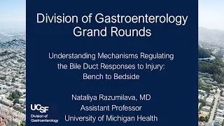 Thumbnail: Understanding Mechanisms Regulating the Bile Duct Responses to Injury - Nataliya Razumilava, MD