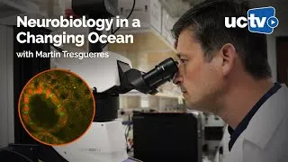 Thumbnail: Neurobiology in a Changing Ocean with Martin Tresguerres