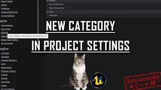 Thumbnail: UE5 Tips & Tricks - Add A Custom Category in Project Settings