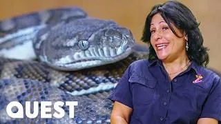 Thumbnail: A Massive Python ESCAPES During A Chaotic Garage Catch | Snake Catcher