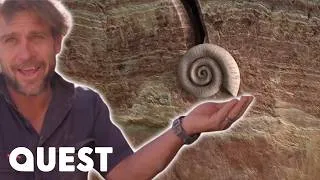Thumbnail: Opal Miners Find Rare Shells Worth $135K | Outback Opal Hunters