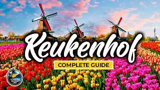 Thumbnail: 🌹 Keukenhof Tulip Festival Complete Travel Guide - Know before you go! (Amsterdam) 🌹