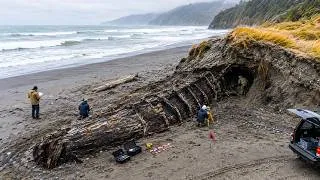 Thumbnail: Archaeologists Unearthed Something in New Zealand That Doesn't Match Human History