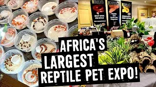 Thumbnail: REPTILE PET EXPO: LARGEST IN AFRICA 2022!
