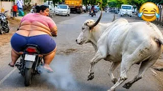 Thumbnail: Try Not To Laugh Challenge 😂 | Funniest Viral Moments Compilation 2026 | Part-25