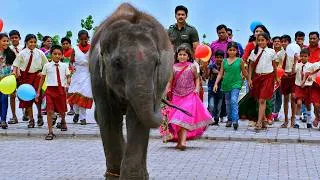 Thumbnail: बच्ची ने हाथी को बनाया भाई, बाँधी राखी : Rakhi Scene | Raksha Bandhan Special | Chhavi Pandey