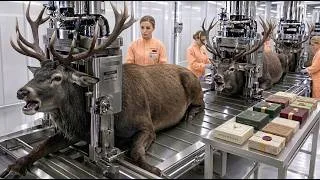 Thumbnail: Inside the Luxury Deer Milk Soap Factory 😱 | How Premium Soap Is Made (Full process)