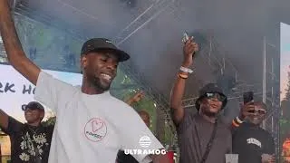 Thumbnail: Dark Horse | UltraMog: Dance By The River | Deep & Soulful House