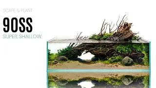 Thumbnail: Aquascaping a UNS 90SS Shallow Aquarium