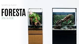 Thumbnail: Scape and Planting the UNS 35E & 60E Foresta Version 2