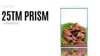 Thumbnail: TC Plants for a Small Terrarium in a UNS 25TM Prism