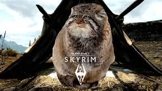 Thumbnail: Khajiits in Skyrim VS in Oblivion VS in Morrowind