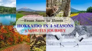 Thumbnail: Hokkaido in 4 Seasons 🌸🍁❄️ | Ultimate Travel Film & Nature Escape #Hokkaido #JapanTravel #VisitJapan