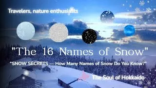 Thumbnail: Hokkaido snow explained: powder, ice, and the ones you've never heard of