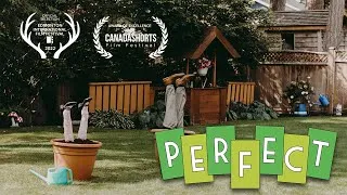Thumbnail: Perfect | Comedy Short Film