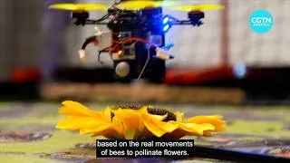 Thumbnail: How Bees Are Inspiring Smarter AI and Autonomous Drones