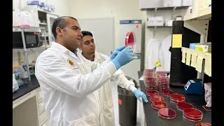 Thumbnail: Protecting Our Region's Poultry Industry with Advanced Technology