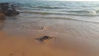 Thumbnail: Serene Beach Afternoon