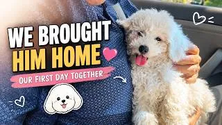 Thumbnail: I GOT A PUPPY | DRIVE 2 HRS TO GET HIM | All worth it!