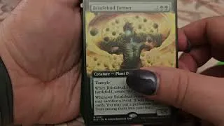 Thumbnail: Kirri, Talented Sprout Deck Tech!!!