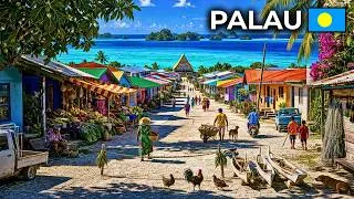 Thumbnail: PALAU: The Reef That Closes When the Chiefs Say So | 4K