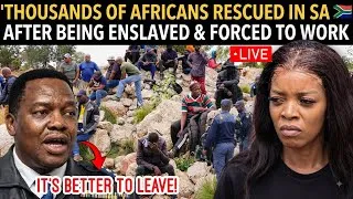 Thumbnail: JUST IN‼️😭 THOUSANDS OF AFRICANS RESCUED IN SA🇿🇦AFTER BEING ENSLAVED & FORCED TO WORK 