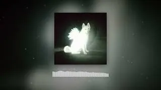 Thumbnail: Fat Dog - Call It What You Want