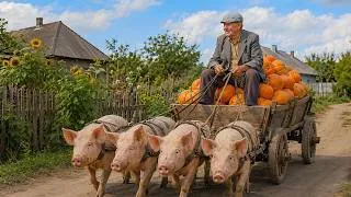 Thumbnail: Life doesn't stop when you're 80 | The exciting rural life of a large family in a mountain village