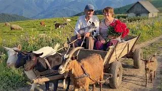 Thumbnail: The amazing life of a happy couple in a Carpathian village far from civilization