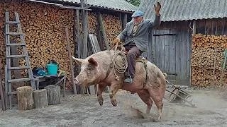 Thumbnail: The village also has its own entertainment! The amazing village life of an elderly couple!