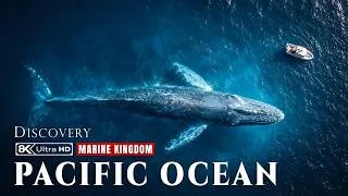 Thumbnail: Pacific Ocean: Inside the Wildest Marine Kingdom on the Planet