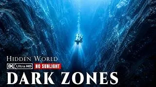Thumbnail: Ocean Dark Zones: The Hidden World Without Sunlight