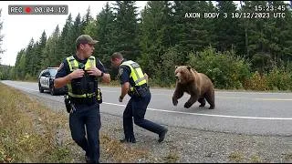 Thumbnail: Police VS Wild Animals Caught on Bodycam