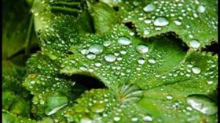 Thumbnail: Frédéric Chopin's "Raindrop" Prelude, Op 28, No. 15