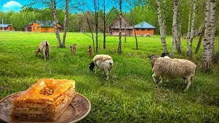 Thumbnail: Self-Sufficient Life Far from Civilization. Married Couple in Forest Village. Baking Baklava. ASMR