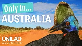 Thumbnail: Only In... Australia 👀🇦🇺