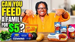 Thumbnail: Can You Really Feed a Family of 5 With Just $5? I Had to Find Out.