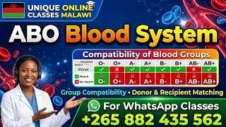 Thumbnail: ABO Blood System 
