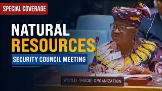 Thumbnail: Critical minerals: Global demand should harness new wealth - WTO Briefing | United Nations
