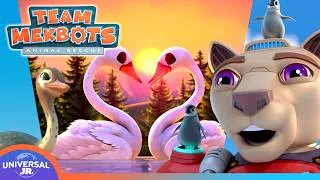 Thumbnail: Take Flight with Team Mekbots Animal Rescue!